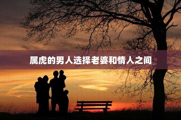 属虎的男人选择老婆和情人之间