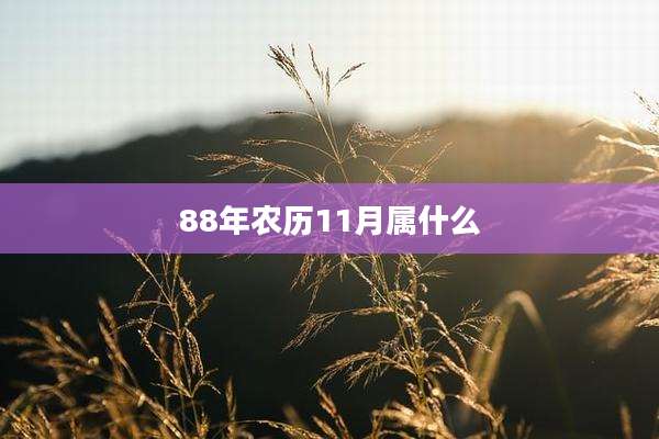 88年农历11月属什么