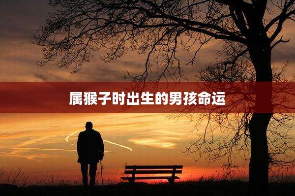 属猴子时出生的男孩命运