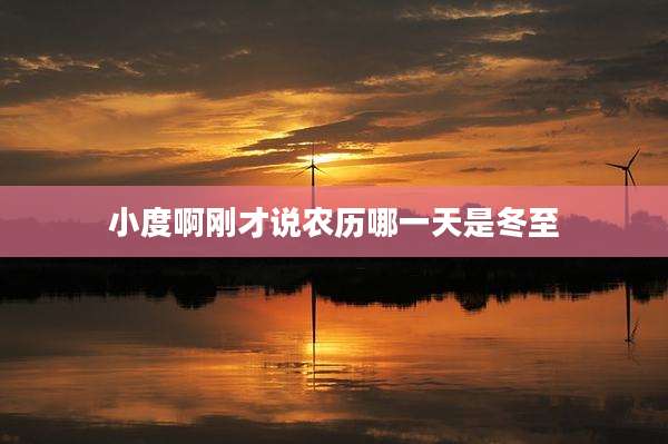 小度啊刚才说农历哪一天是冬至