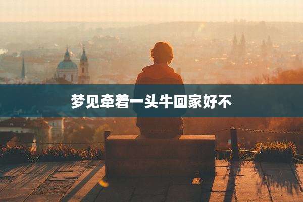 梦见牵着一头牛回家好不