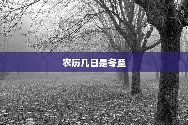农历几日是冬至
