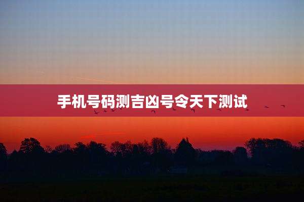 手机号码测吉凶号令天下测试