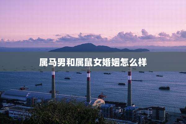 属马男和属鼠女婚姻怎么样