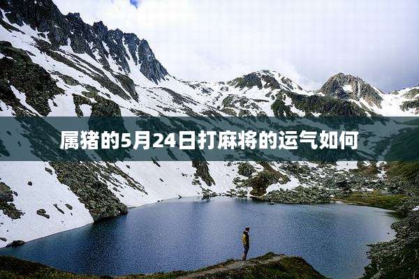属猪的5月24日打麻将的运气如何