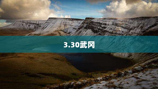 3.30武冈