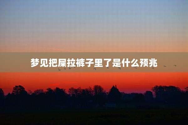 梦见把屎拉裤子里了是什么预兆
