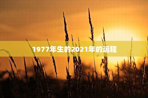 1977年生的2021年的运程