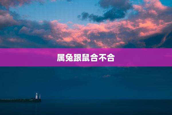 属兔跟鼠合不合
