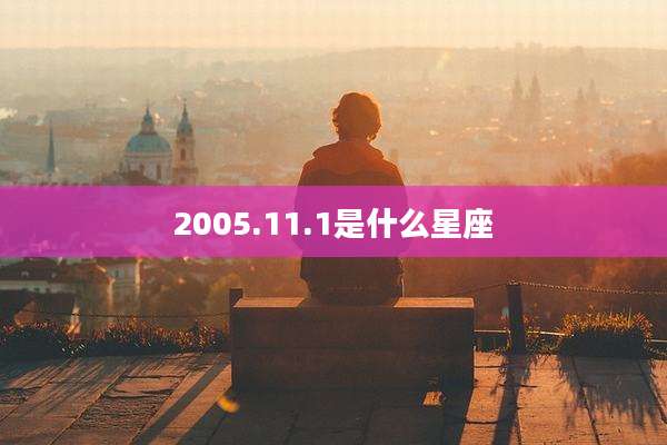 2005.11.1是什么星座