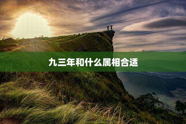 九三年和什么属相合适