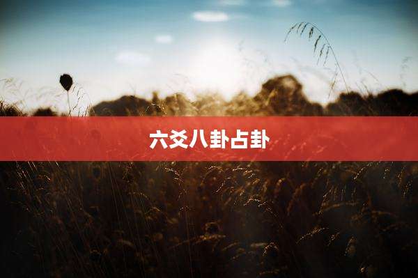 六爻八卦占卦