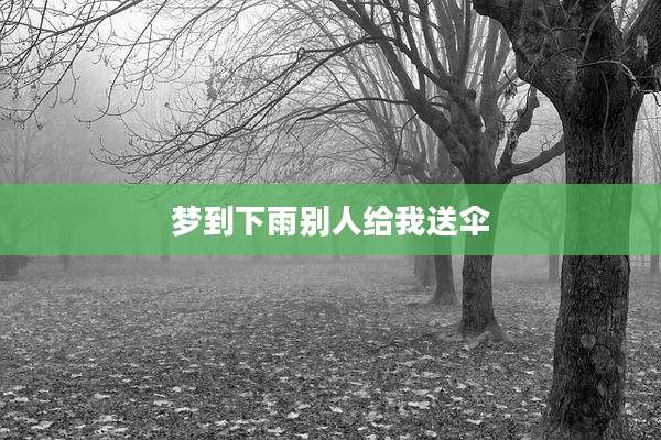 梦到下雨别人给我送伞