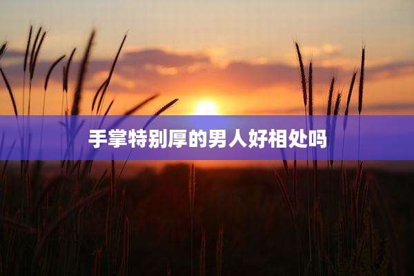 手掌特别厚的男人好相处吗