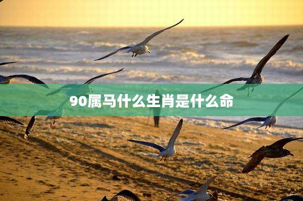 90属马什么生肖是什么命