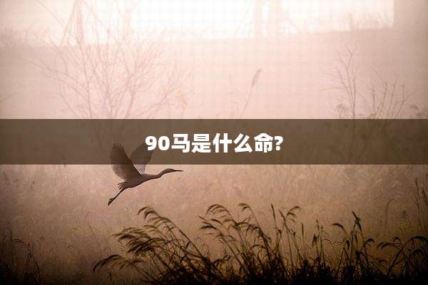 90马是什么命?