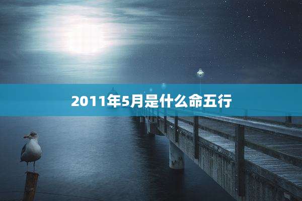 2011年5月是什么命五行