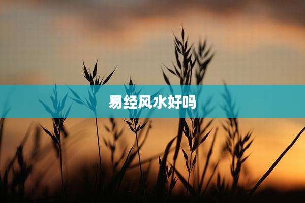 易经风水好吗