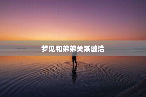 梦见和弟弟关系融洽