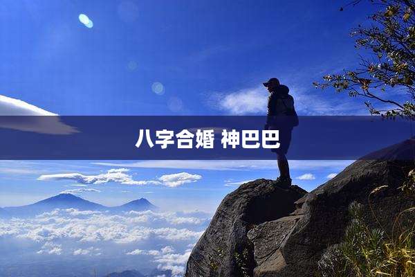 八字合婚 神巴巴