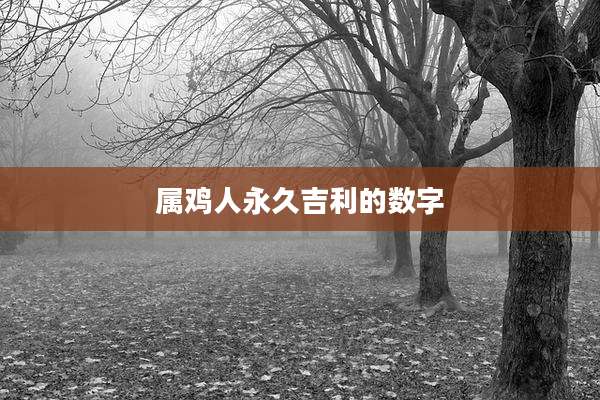 属鸡人永久吉利的数字