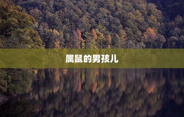 属鼠的男孩儿