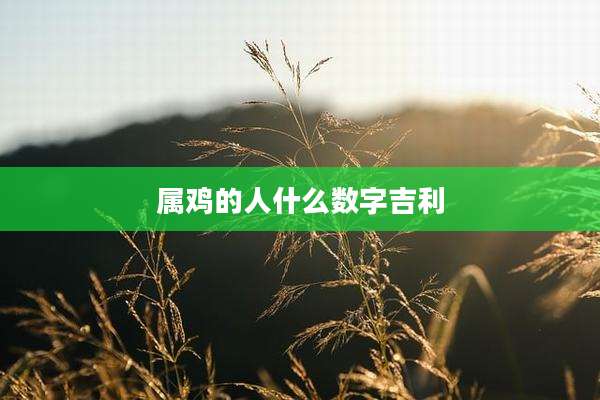 属鸡的人什么数字吉利
