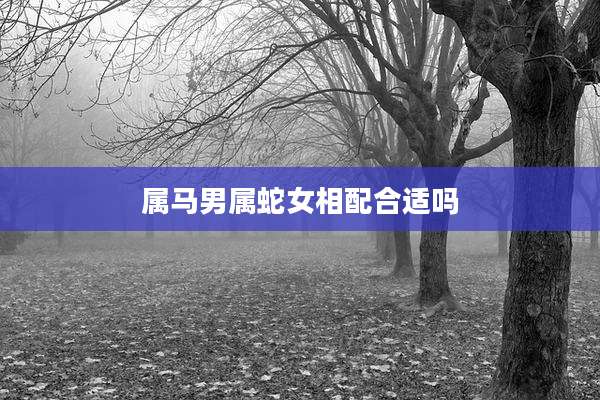 属马男属蛇女相配合适吗