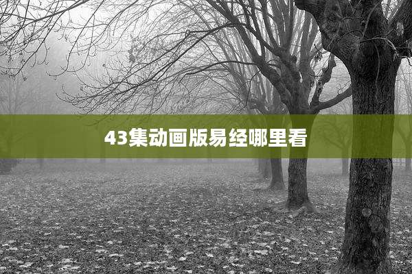 43集动画版易经哪里看