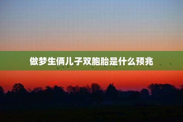 做梦生俩儿子双胞胎是什么预兆