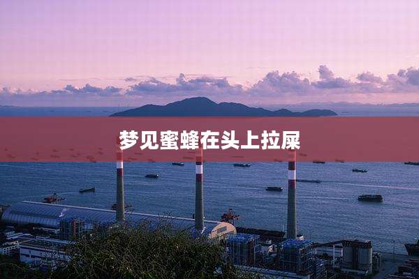 梦见蜜蜂在头上拉屎