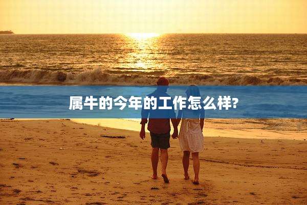 属牛的今年的工作怎么样?