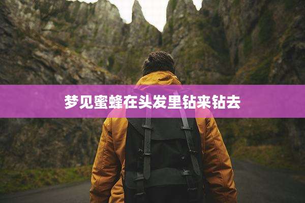 梦见蜜蜂在头发里钻来钻去