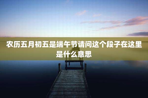 农历五月初五是端午节请问这个段子在这里是什么意思