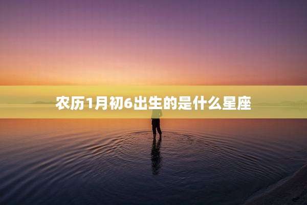 农历1月初6出生的是什么星座