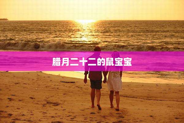腊月二十二的鼠宝宝