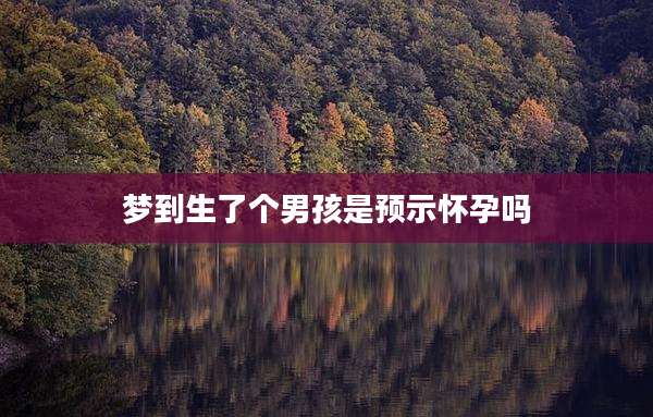 梦到生了个男孩是预示怀孕吗