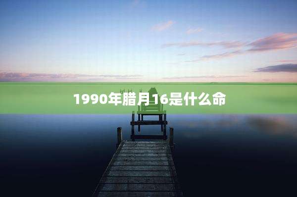1990年腊月16是什么命