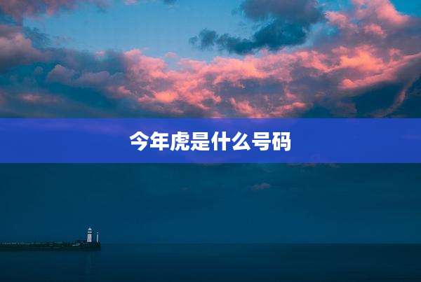 今年虎是什么号码