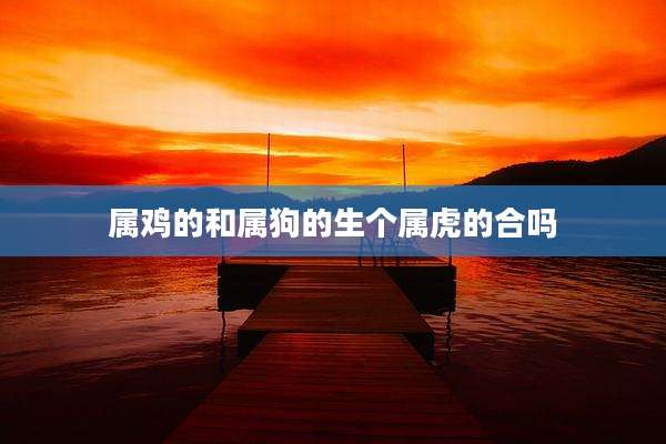 属鸡的和属狗的生个属虎的合吗