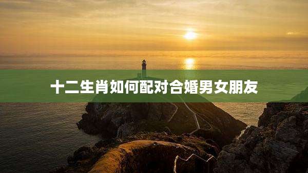 十二生肖如何配对合婚男女朋友