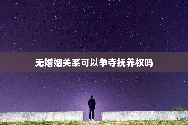 无婚姻关系可以争夺抚养权吗