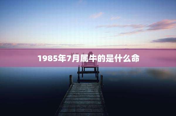 1985年7月属牛的是什么命