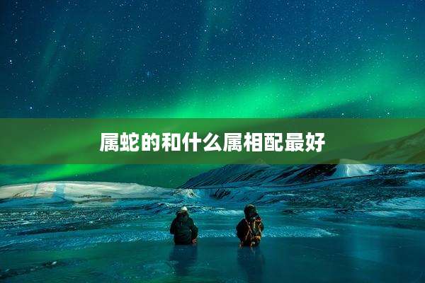 属蛇的和什么属相配最好