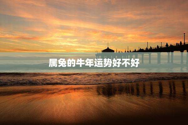 属兔的牛年运势好不好