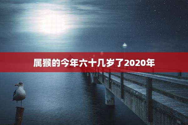 属猴的今年六十几岁了2020年