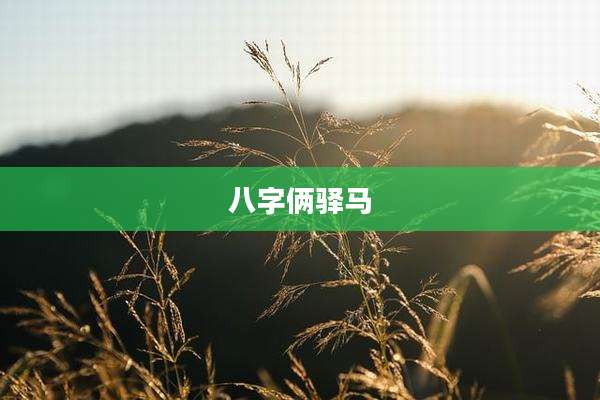 八字俩驿马