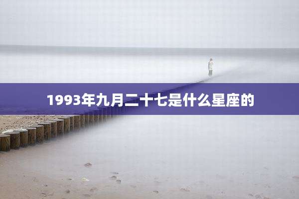 1993年九月二十七是什么星座的