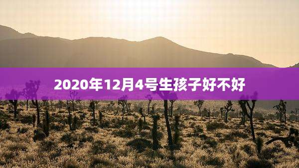 2020年12月4号生孩子好不好