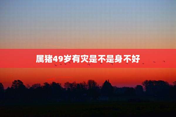 属猪49岁有灾是不是身不好